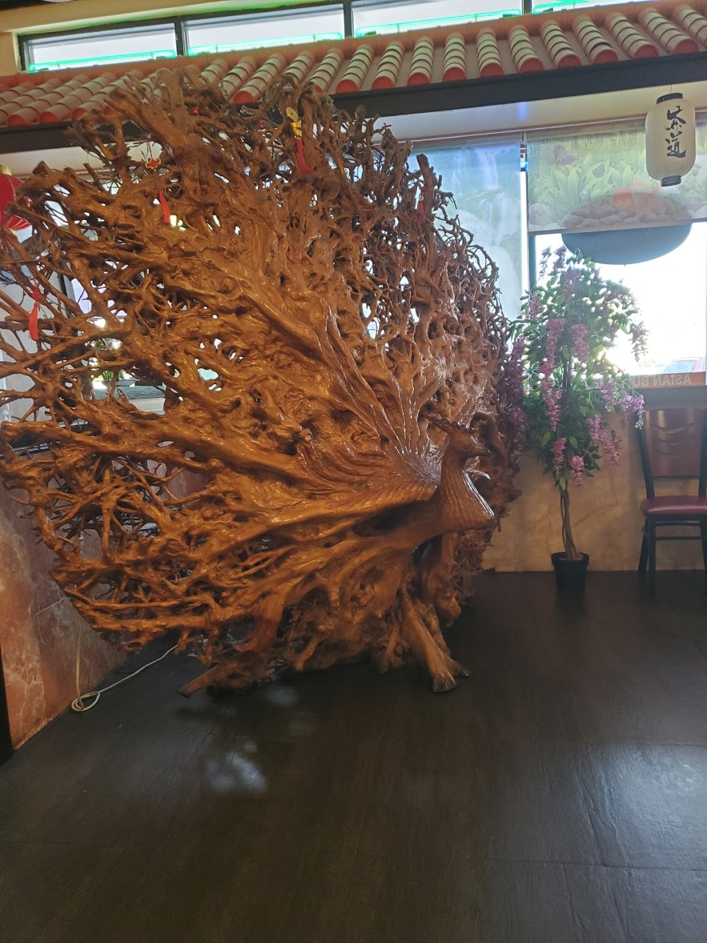 Asian Buffet & Grill | restaurant | 2091 N University Dr, Sunrise, FL 33322, USA | 9545729018 OR +1 954-572-9018