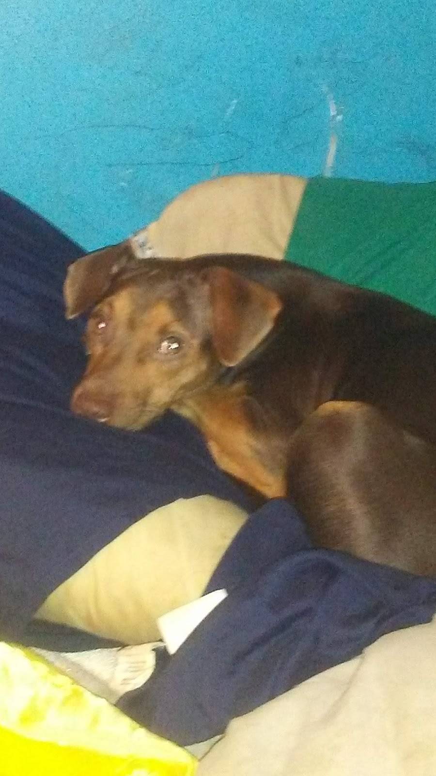 Frans Place | restaurant | 7445 Blythe Island Hwy, Brunswick, GA 31523, USA | 9122629663 OR +1 912-262-9663