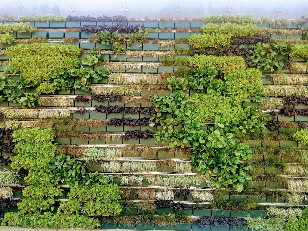 Starbucks | cafe | 1945 S Victoria Ave, Ventura, CA 93003, USA | 8056202557 OR +1 805-620-2557