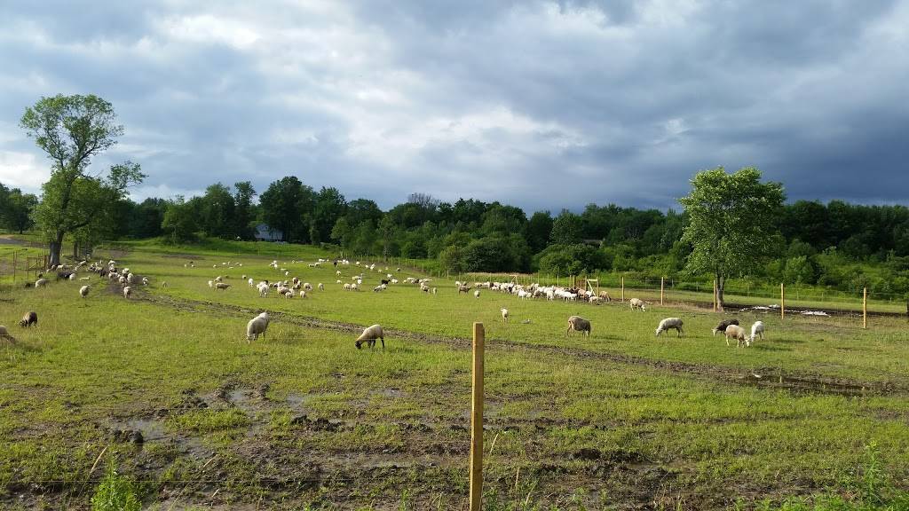 Harbs Farm | restaurant | 7802 Vienna Rd, Blossvale, NY 13308, USA | 9143207959 OR +1 914-320-7959