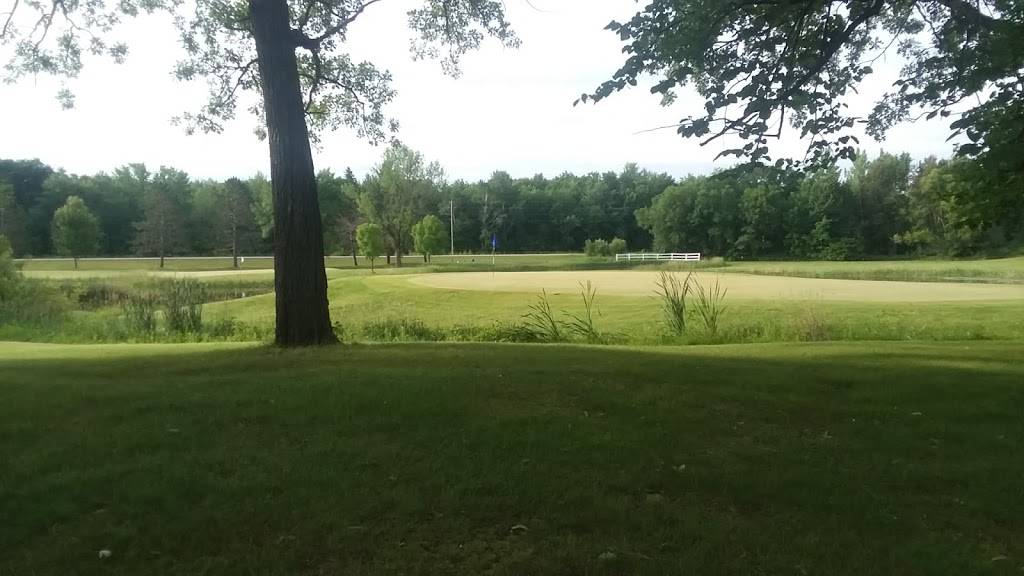 Vintage Golf Course | restaurant | 27923 McGivern Dr, Staples, MN 56479, USA | 2188949907 OR +1 218-894-9907