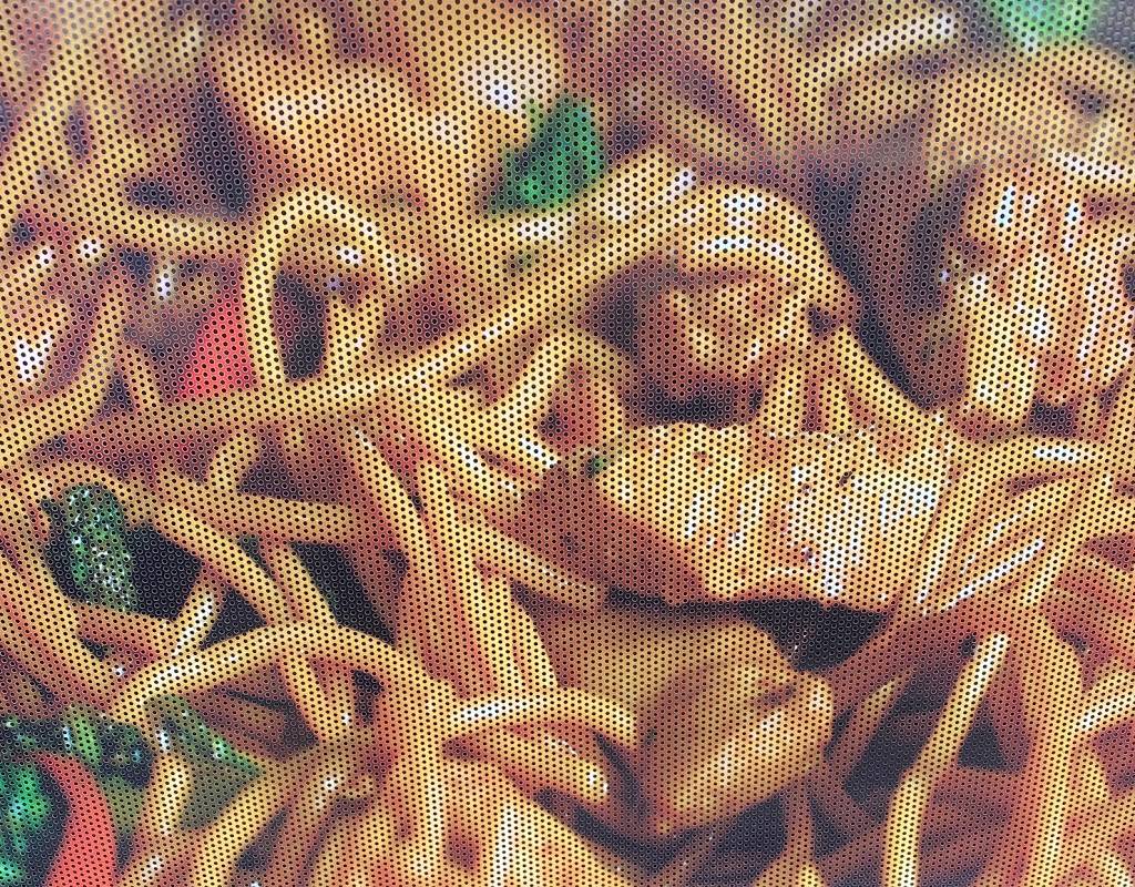 Pho Seafood and Crawfish | restaurant | 3003 Texas Pkwy Suite C, Missouri City, TX 77489, USA | 8322435095 OR +1 832-243-5095