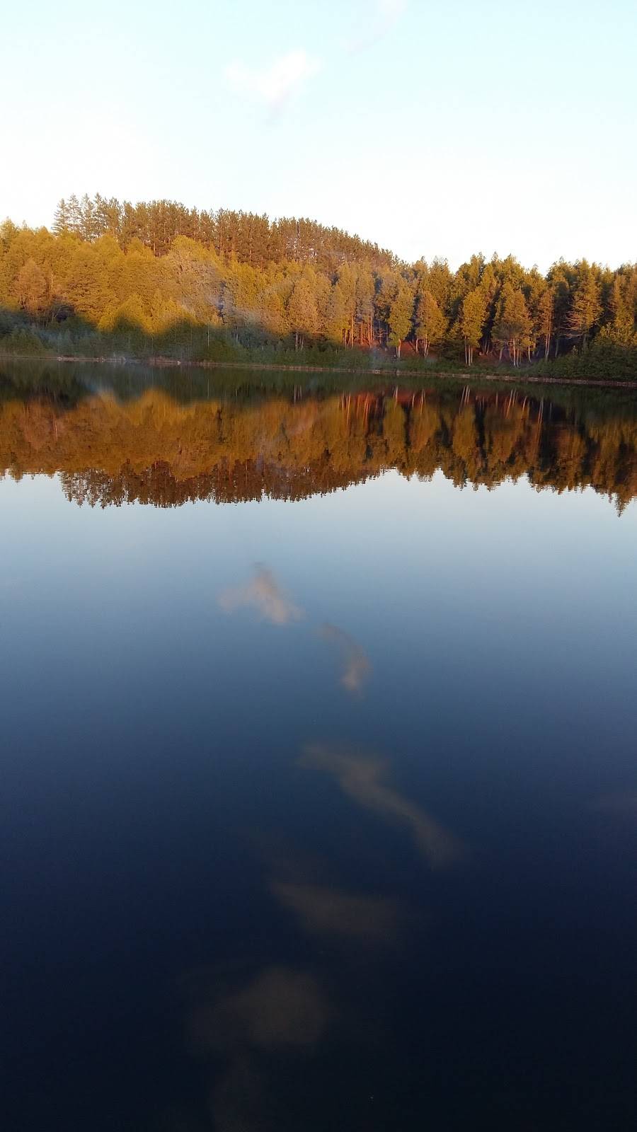 Youngs Garden Restaurant | restaurant | 118 Garafraxa St N, Durham, ON N0G 1R0, Canada | 5193692387 OR +1 519-369-2387