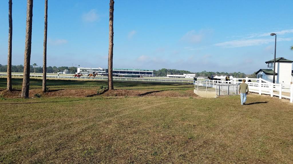 Tampa Bay Downs | restaurant | 11225 Race Track Rd, Tampa, FL 33626, USA | 8138554401 OR +1 813-855-4401