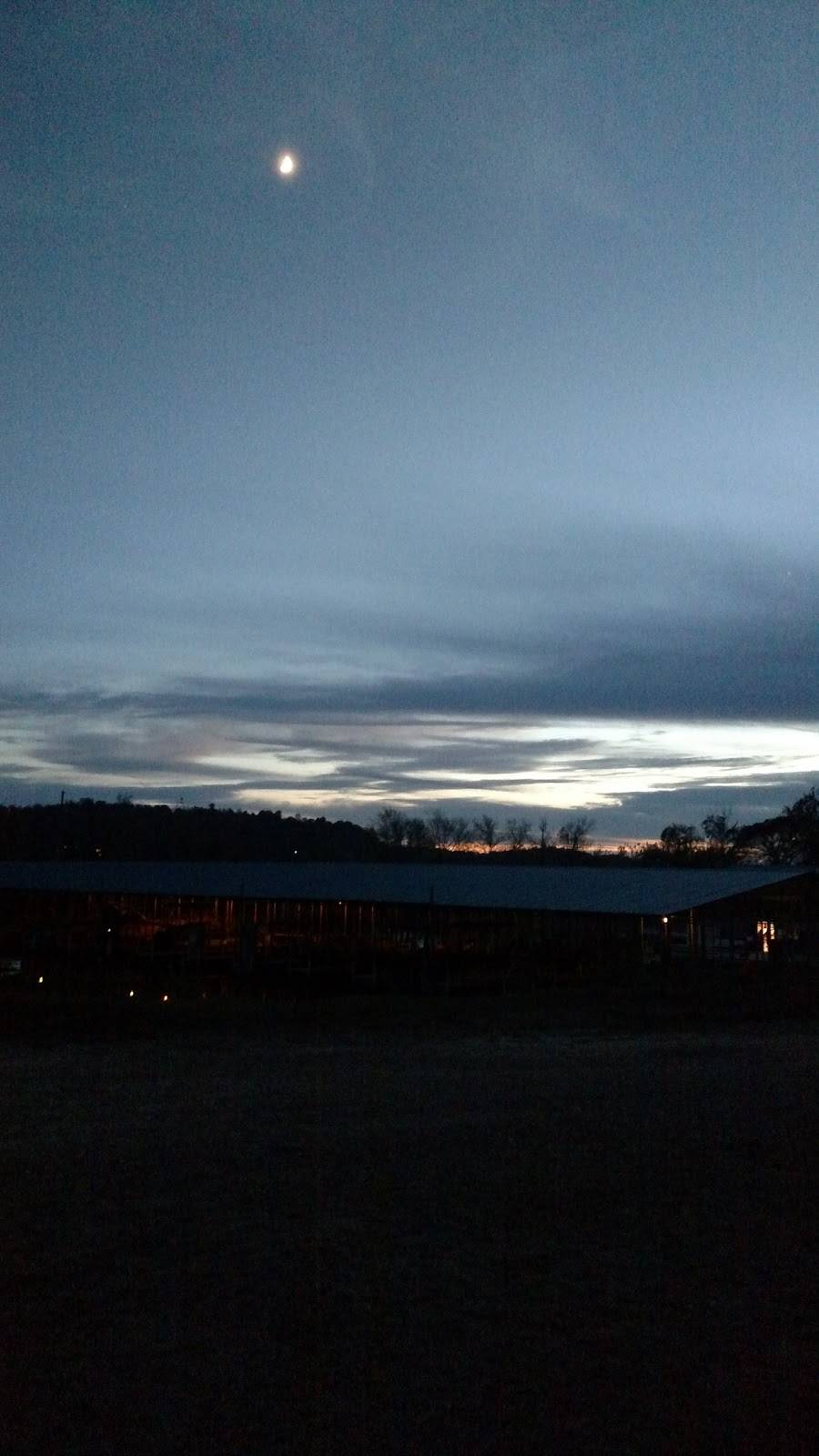 Masons Boat Dock | restaurant | Hilton Retreat, Waverly, TN 37185, USA | 9312969165 OR +1 931-296-9165