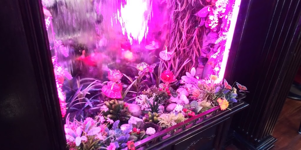 Hibiscus Restaurant | restaurant | 110 W 25th St, Baltimore, MD 21218, USA | 4434788817 OR +1 443-478-8817