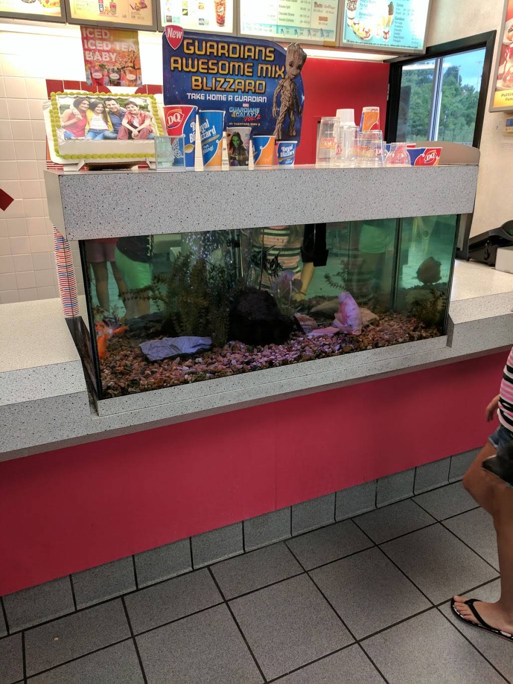 Dairy Queen | restaurant | 90 Scenic Plaza Dr, Herculaneum, MO 63048, USA | 6369337000 OR +1 636-933-7000