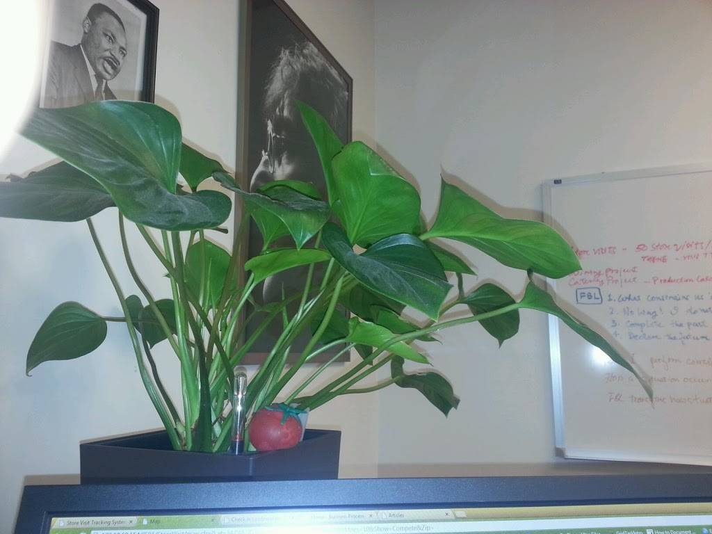 Panda Restaurant Group | restaurant | 1683 Walnut Grove Ave, Rosemead, CA 91770, USA | 6267999898 OR +1 626-799-9898