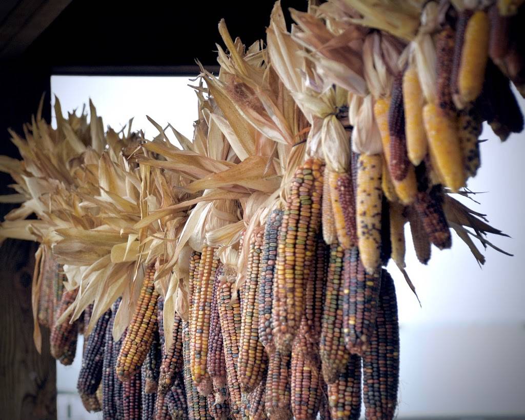 Hershbergers Farm and Bakery | bakery | 5452 OH-557, Millersburg, OH 44654, USA | 3306746096 OR +1 330-674-6096