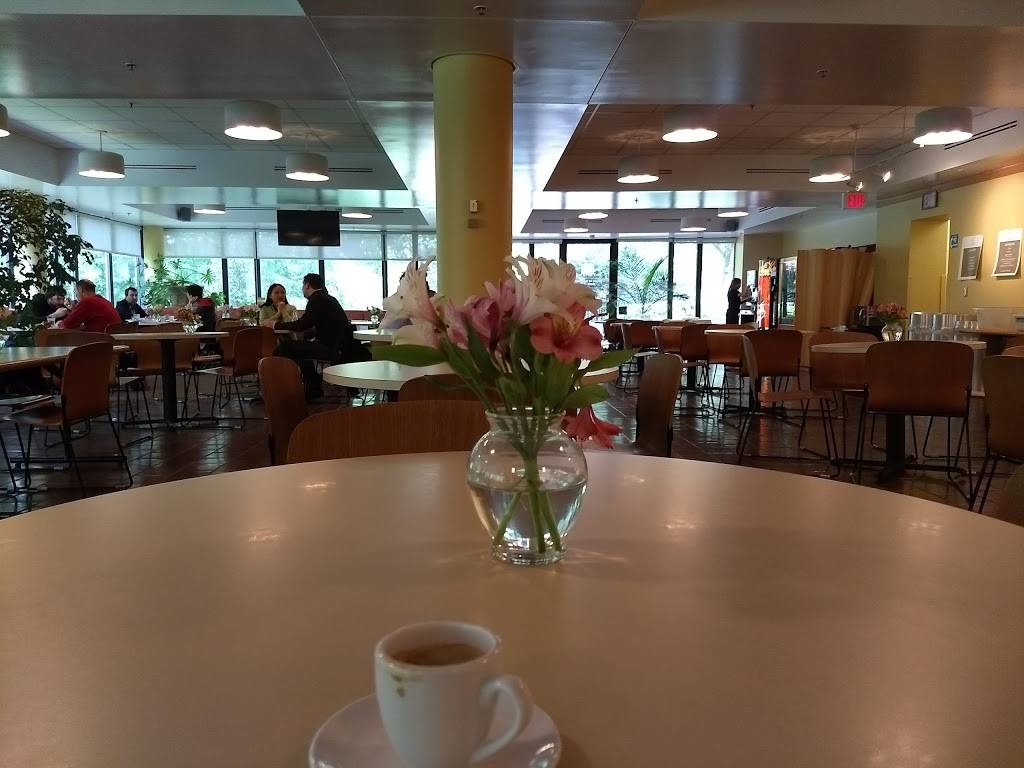 Cafe Azafran | restaurant | 3700 San Martin Dr, Baltimore, MD 21210, USA | 4103384757 OR +1 410-338-4757