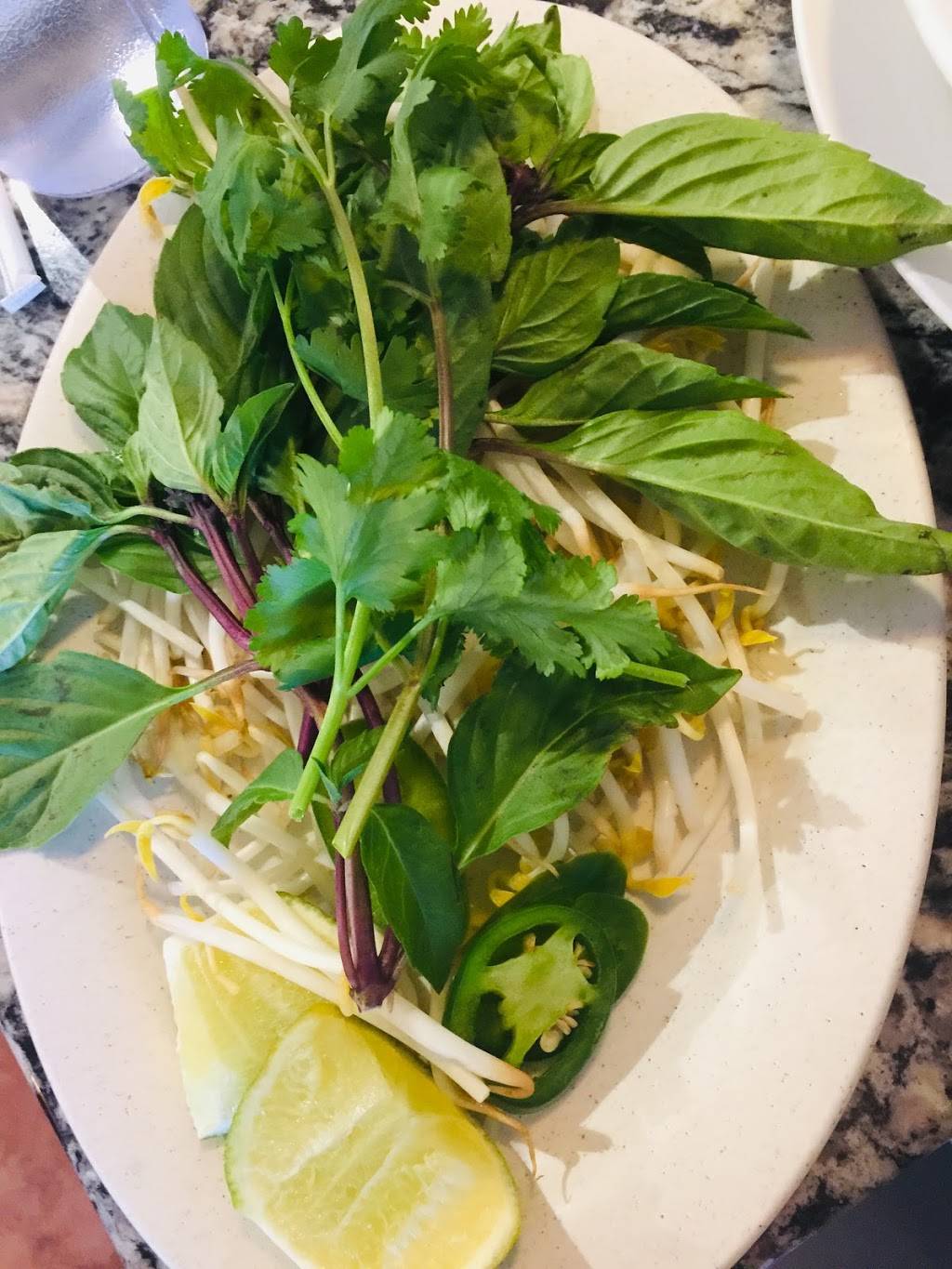 Pho Apple | restaurant | 5930 W Park Blvd #400, Plano, TX 75093, USA | 9722506500 OR +1 972-250-6500