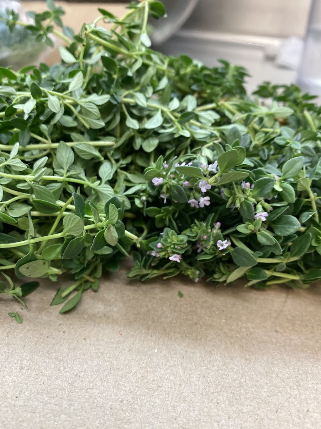 Supper House | restaurant | 3404 N Halsted St, Chicago, IL 60657, USA | 7732696497 OR +1 773-269-6497