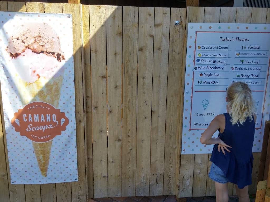Camano Scoopz | restaurant | 848 N Sunrise Blvd Ste C, Camano, WA 98282, USA | 3607227459 OR +1 360-722-7459
