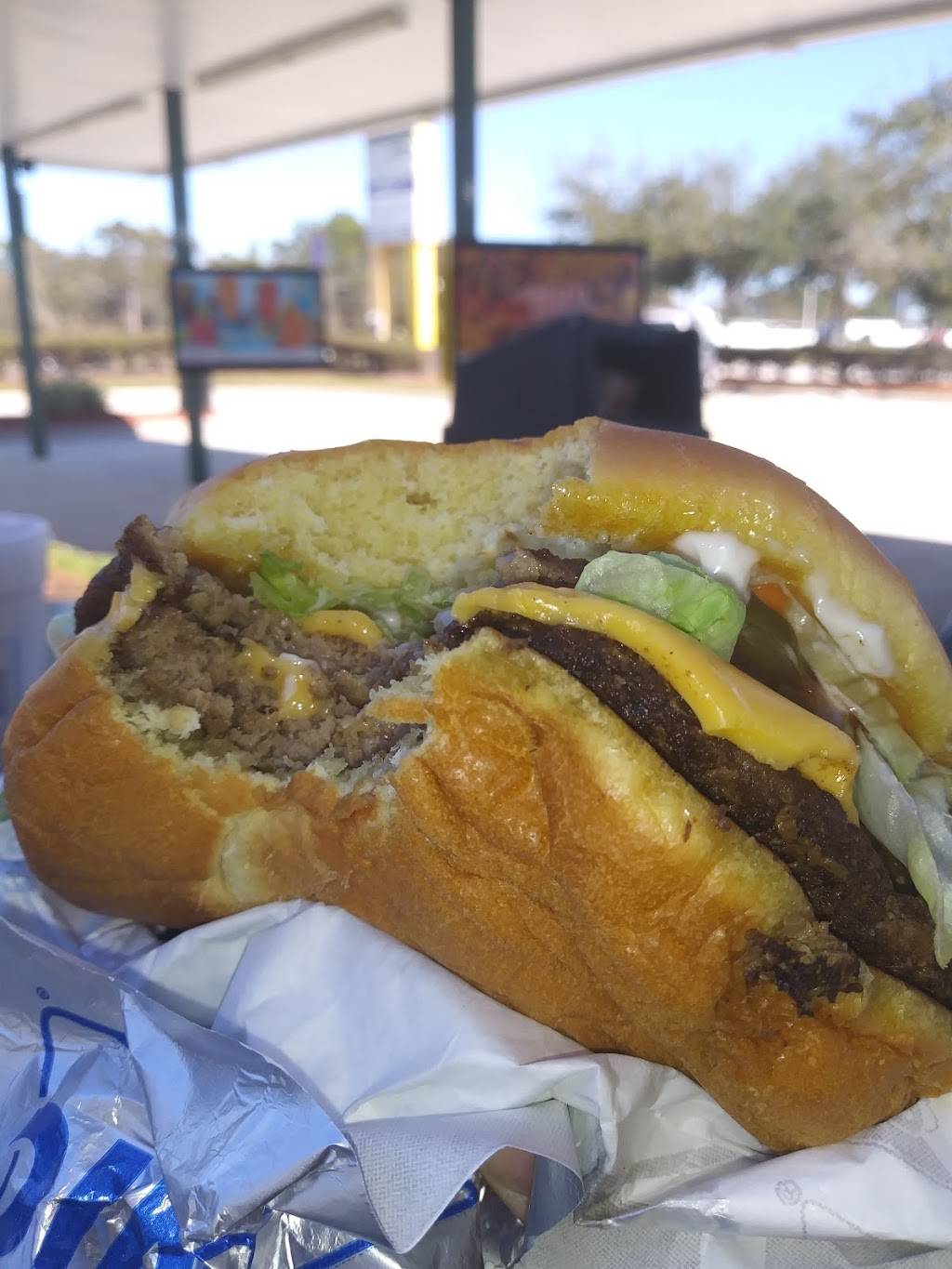 Sonic Drive-In | restaurant | 10251 Big Bend Rd, Riverview, FL 33569, USA | 8137410300 OR +1 813-741-0300