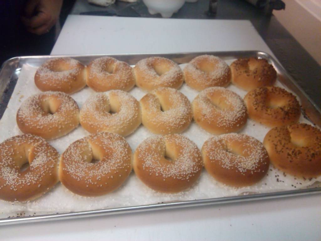 Bagel Port Cafe & Deli | restaurant | 9666 N Kings Hwy, Myrtle Beach, SC 29572, USA | 8439459024 OR +1 843-945-9024