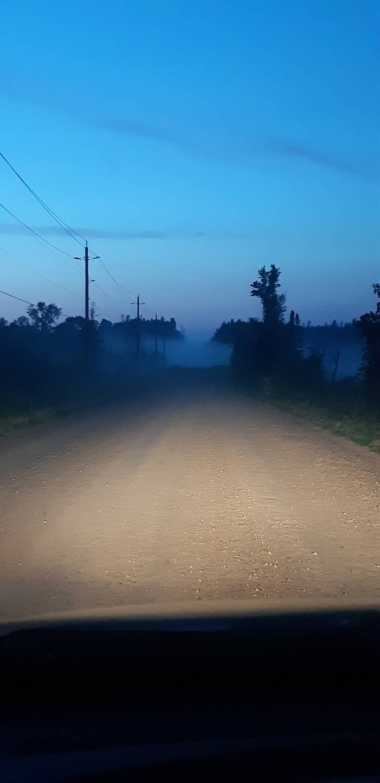 New Orleans Pizza | meal delivery | 234 Main St S, Mount Forest, ON N0G 2L2, Canada | 5193234443 OR +1 519-323-4443