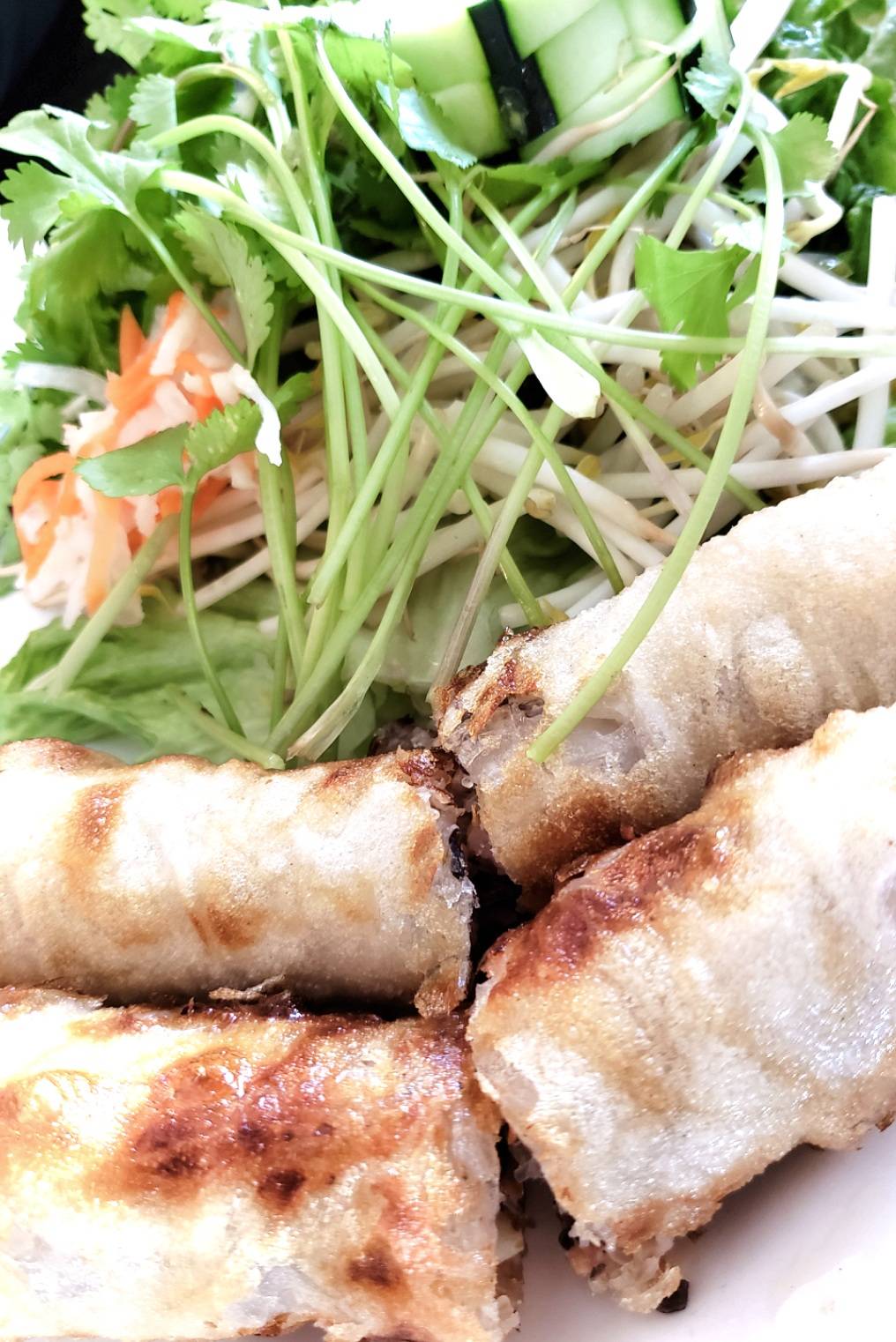 Pho Lan | restaurant | 296 E 29th St, Loveland, CO 80538, USA | 9706854411 OR +1 970-685-4411