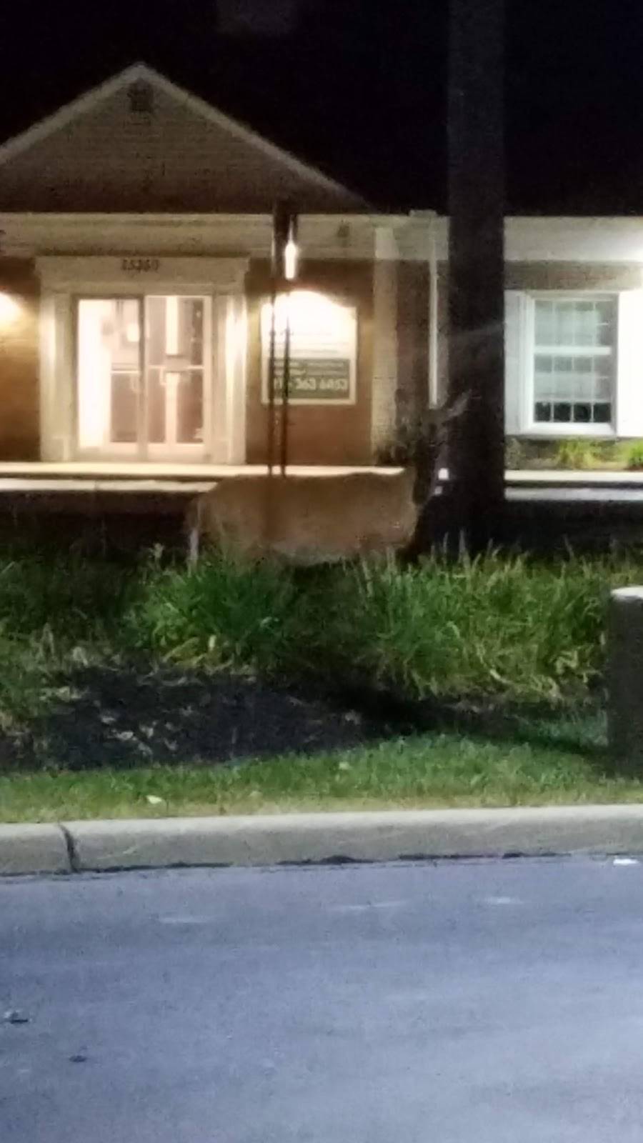 Wendys | restaurant | 21250 Center Ridge Rd, Rocky River, OH 44116, USA | 4403334377 OR +1 440-333-4377