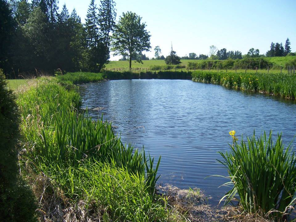 Three Brothers Vineyard and Winery | restaurant | 2411 NE 244th St, Ridgefield, WA 98642, USA | 3608872085 OR +1 360-887-2085