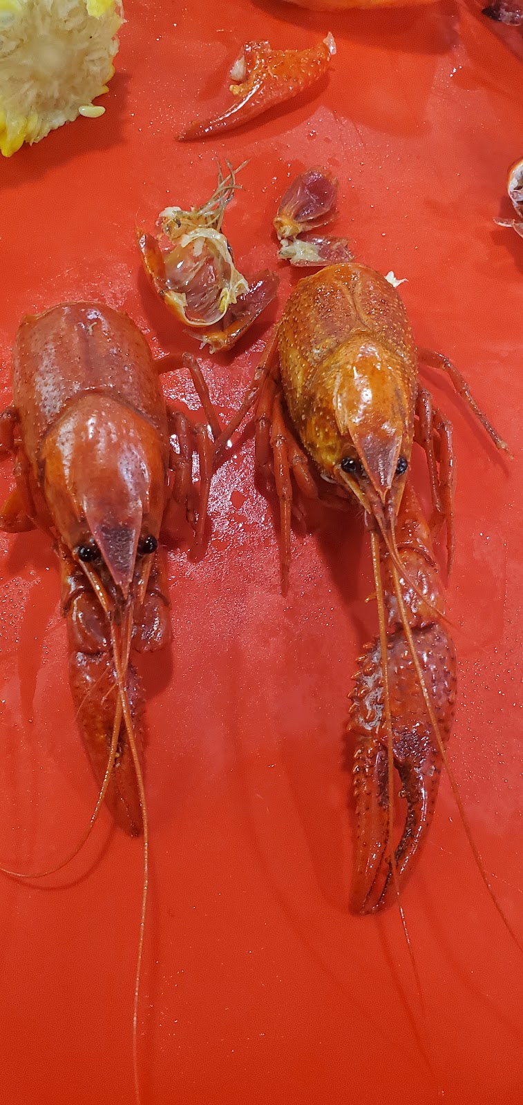 SEAFOOD CORNER | restaurant | 13654 Airline Hwy, Gonzales, LA 70737, USA | 2256446706 OR +1 225-644-6706