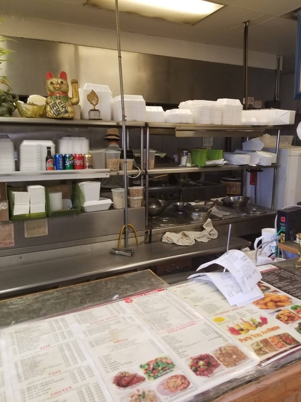 Gen Hoe II | restaurant | 1095, 501 N Kedzie Ave, Chicago, IL 60612, USA | 7736381668 OR +1 773-638-1668