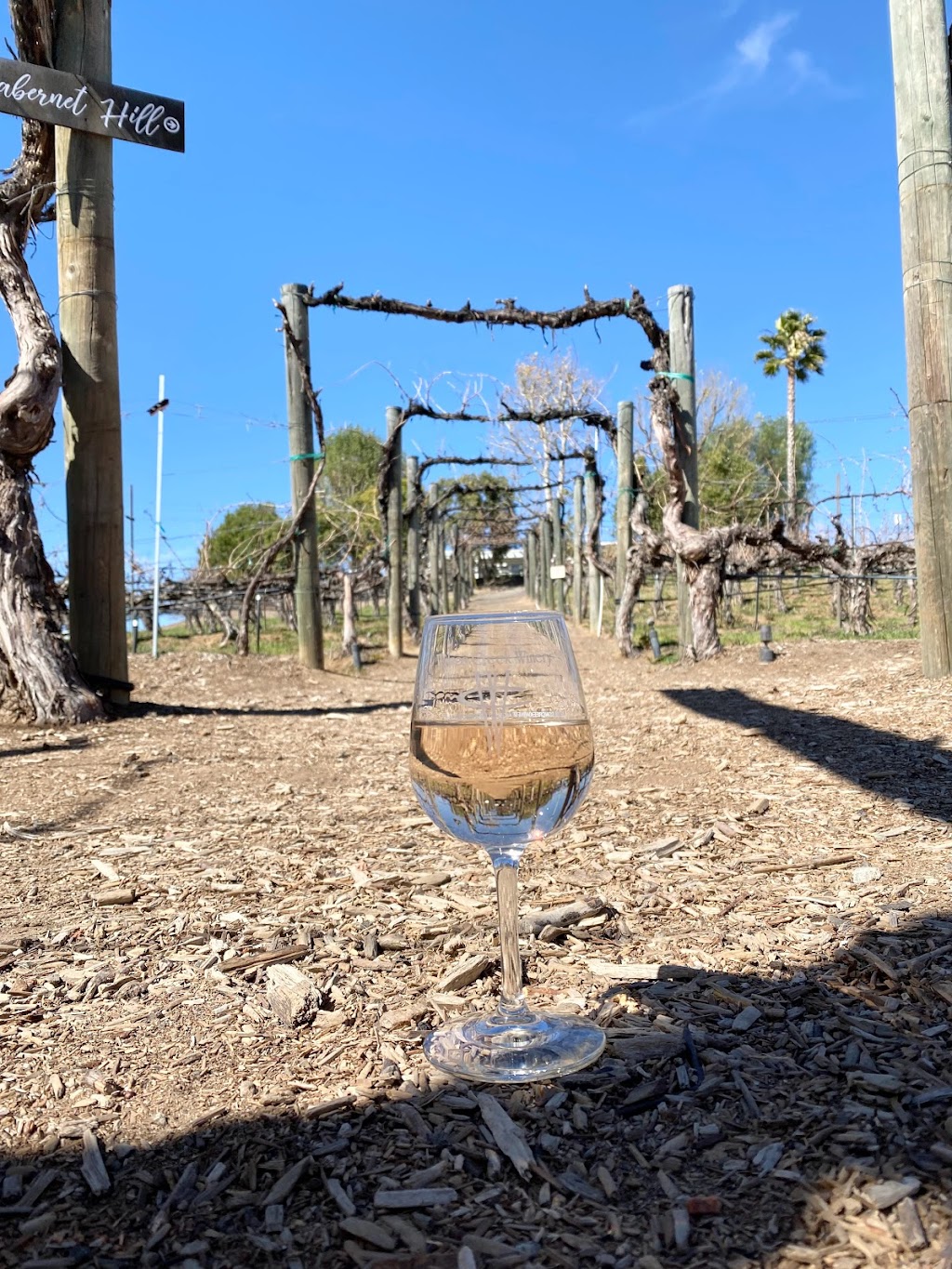 Courtyard Bar & Grill | restaurant | 35960 Rancho California Rd, Temecula, CA 92591, USA | 9516999463 OR +1 951-699-9463