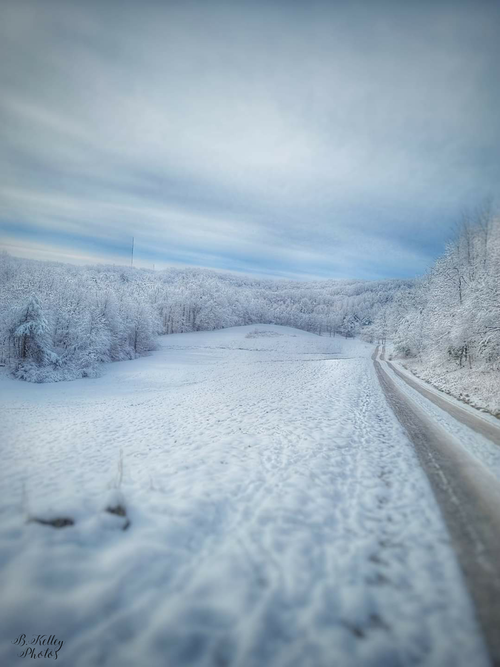 Deer Park Inn | restaurant | 236 Haynes Drive, Buckhannon, WV 26201, USA | 3044723221 OR +1 304-472-3221