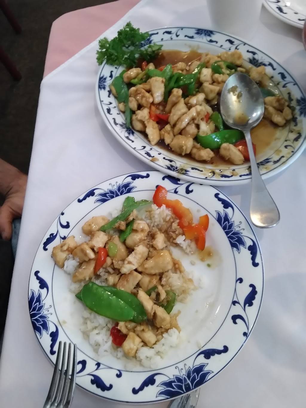 Great Wall Restaurant | restaurant | 610 N Nappanee St, Elkhart, IN 46514, USA | 5742933499 OR +1 574-293-3499