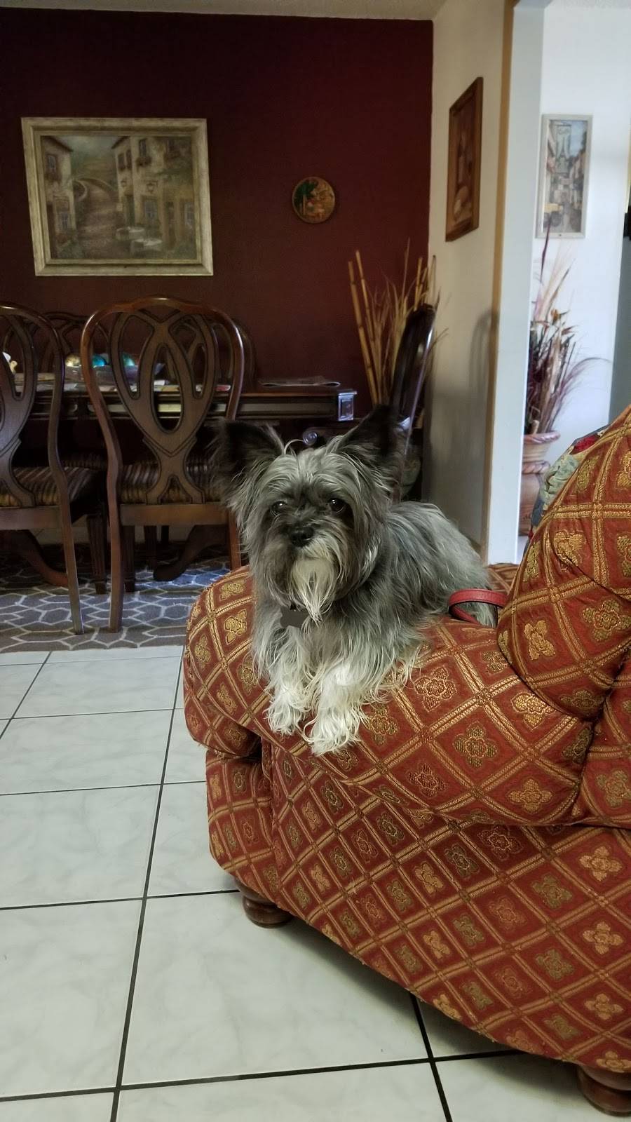 Taco Bell | meal takeaway | 1942 East, FL-60, Lake Wales, FL 33853, USA | 8636781099 OR +1 863-678-1099