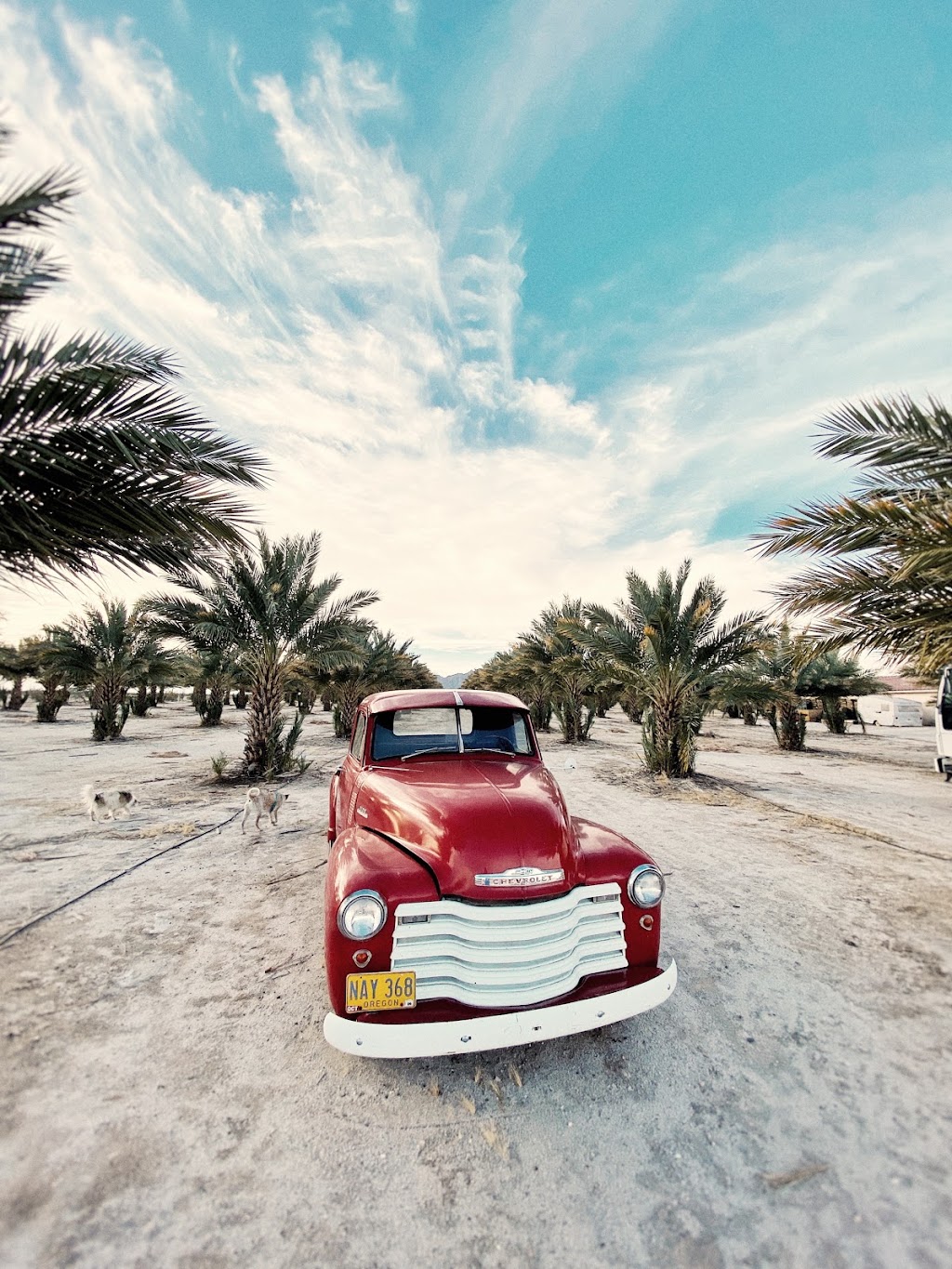 Naked Dates | restaurant | 13589 S Ave 25 E, Wellton, AZ 85356, USA | 8883742037 OR +1 888-374-2037