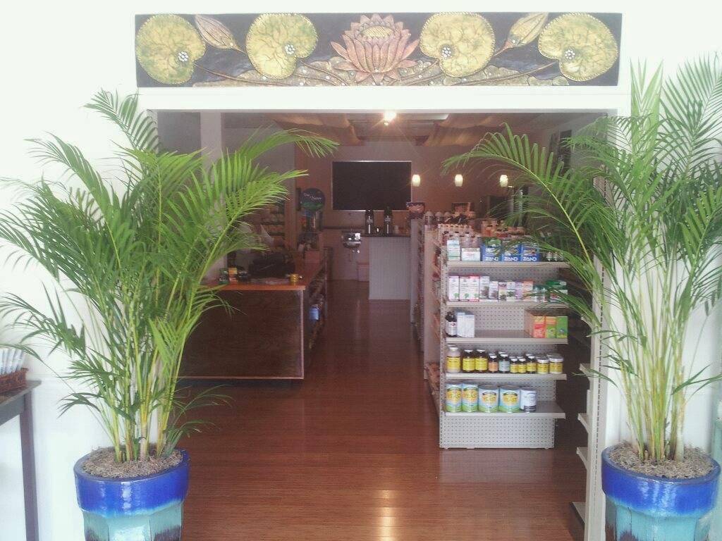 Healing Zone at 515 Canal | restaurant | 515 Canal St, New Smyrna Beach, FL 32168, USA | 3864027825 OR +1 386-402-7825
