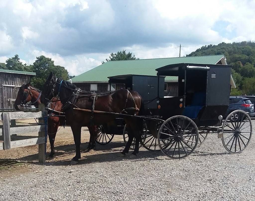 Amish House | restaurant | 1103 Dayton Smicksburg Rd, Smicksburg, PA 16256, USA | 8142576253 OR +1 814-257-6253