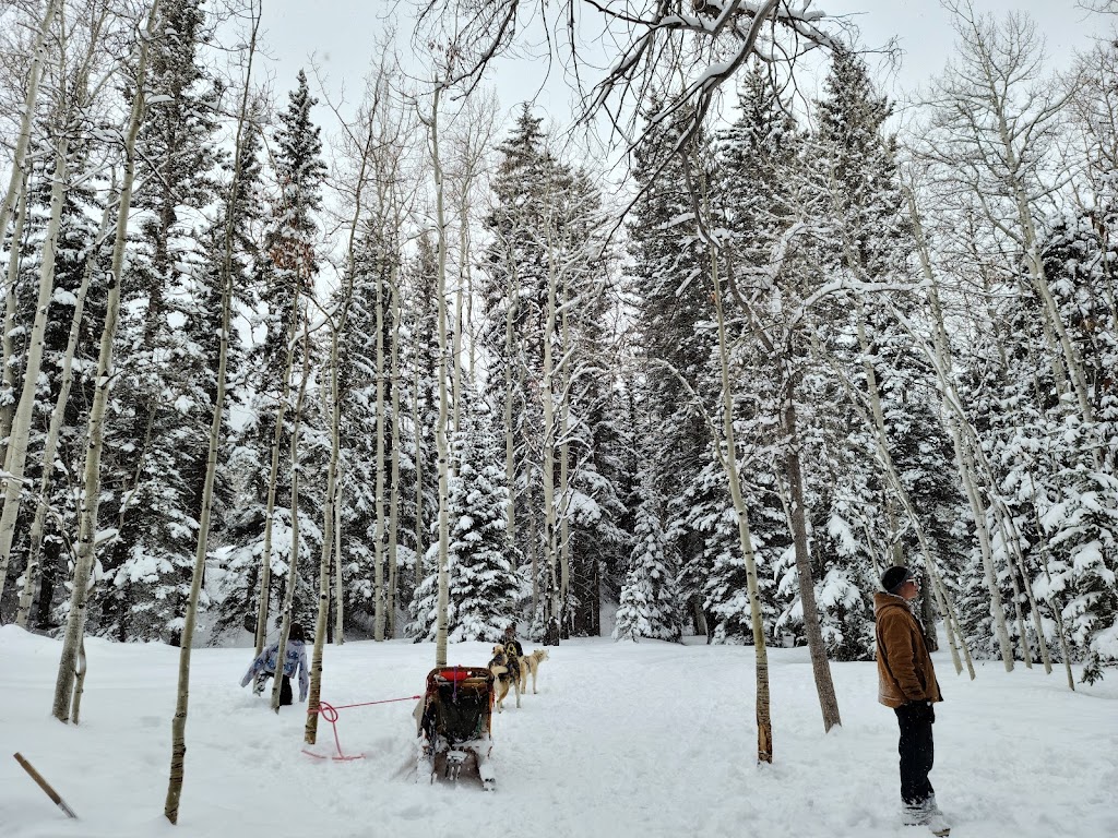 Krabloonik | restaurant | 4250 Divide Rd, Snowmass Village, CO 81615, USA | 9709233953 OR +1 970-923-3953