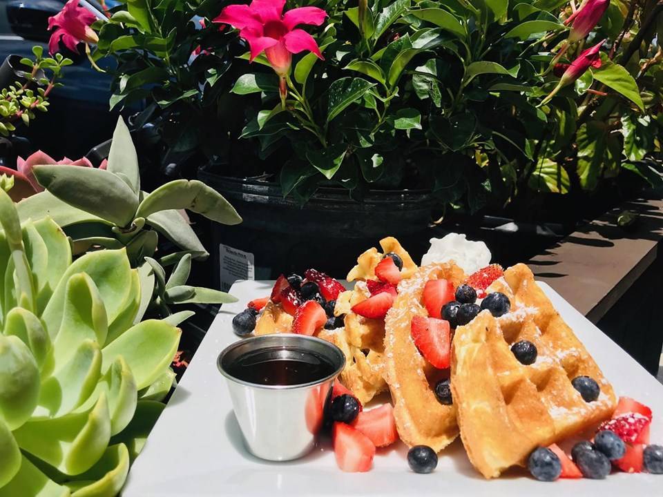 Bikes Beans & Bordeaux | cafe | 3022 Corrine Dr, Orlando, FL 32803, USA | 4074271440 OR +1 407-427-1440