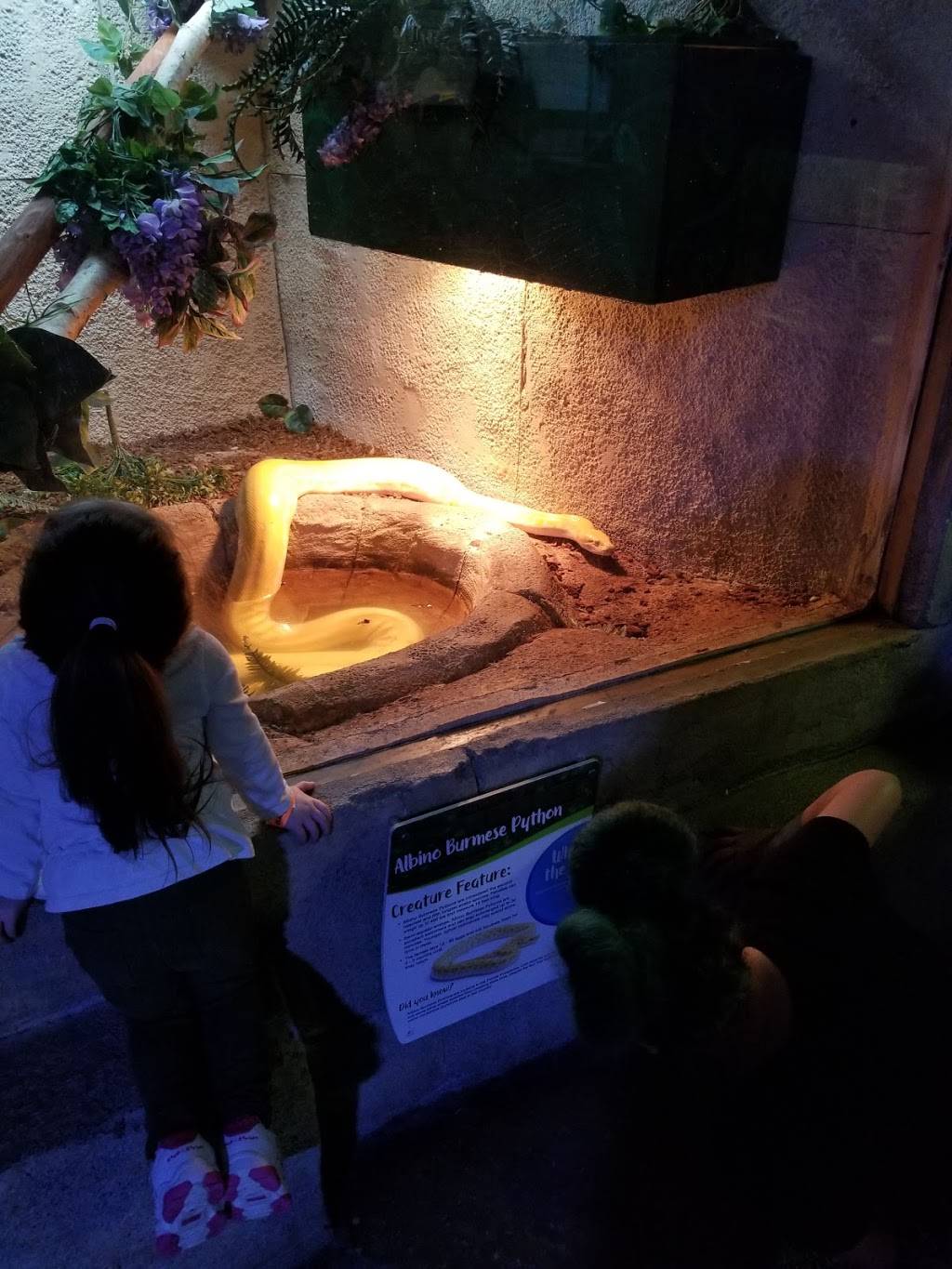 Chipotle Mexican Grill | restaurant | 8501 W Bowles Ave Ste 2020, Littleton, CO 80123, USA | 3039733401 OR +1 303-973-3401