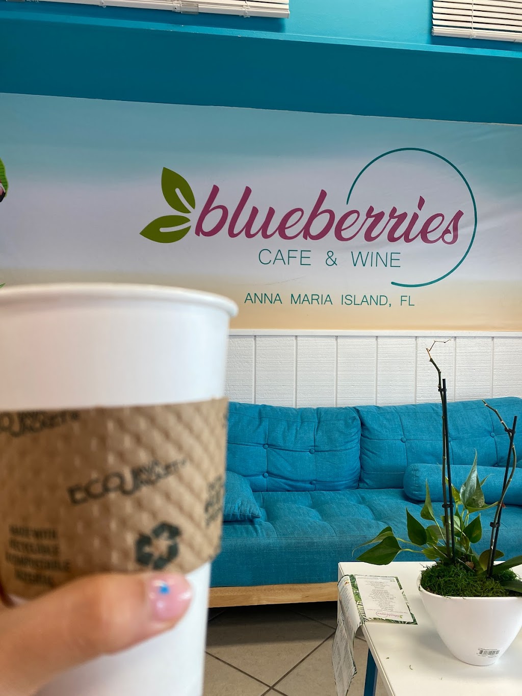 Blueberries Cafe & Wine | cafe | 5337 Gulf Dr #300, Holmes Beach, FL 34217, USA | 7862969612 OR +1 786-296-9612