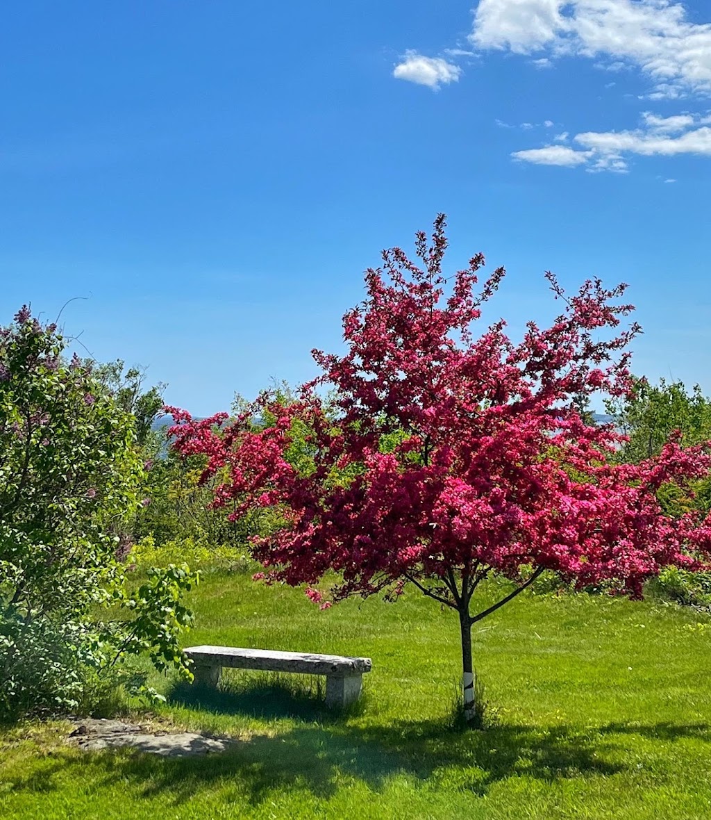 Pentagoet Inn & Wine Bar | restaurant | 26 Main St, Castine, ME 04421, USA | 2073268616 OR +1 207-326-8616