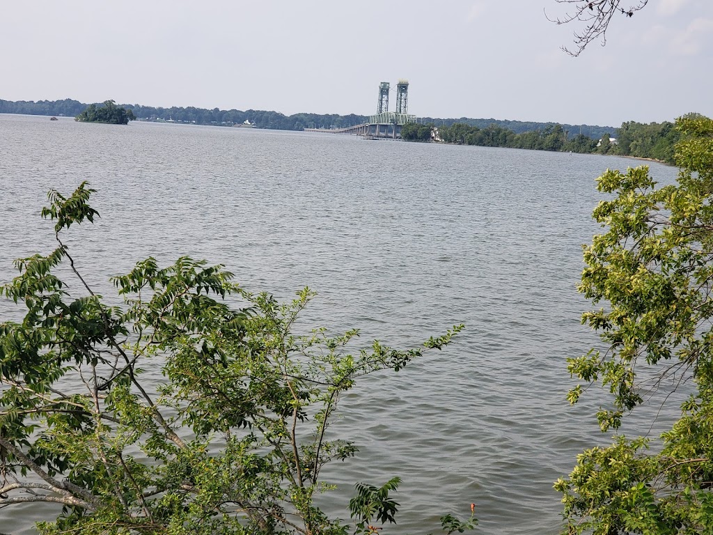 Holy Mackerel VA | restaurant | 700 Jordan Point Rd, Hopewell, VA 23860, USA | 8044419157 OR +1 804-441-9157