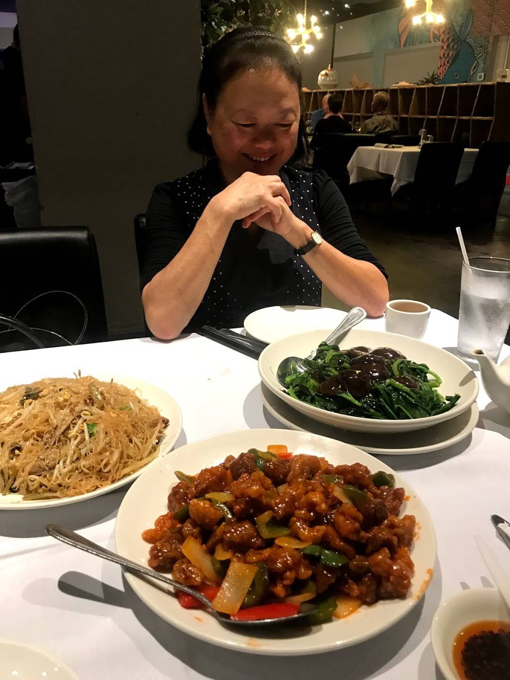 Yummy House China Bistro Sarasota | restaurant | 1737 S Tamiami Trail, Sarasota, FL 34239, USA | 9413511688 OR +1 941-351-1688