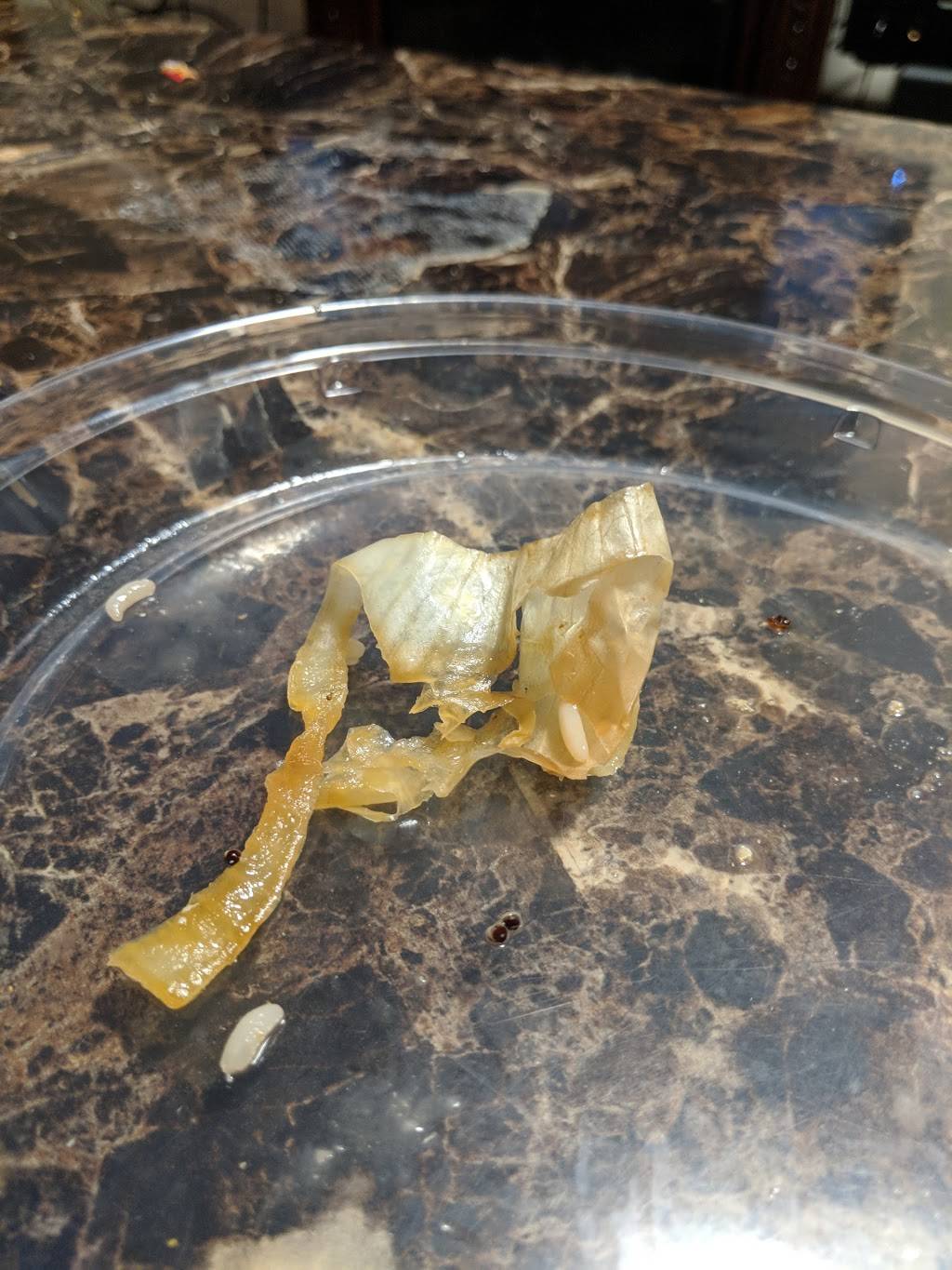 DAngelo Grilled Sandwiches | restaurant | 260 Chauncy St, Mansfield, MA 02048, USA | 5083398603 OR +1 508-339-8603