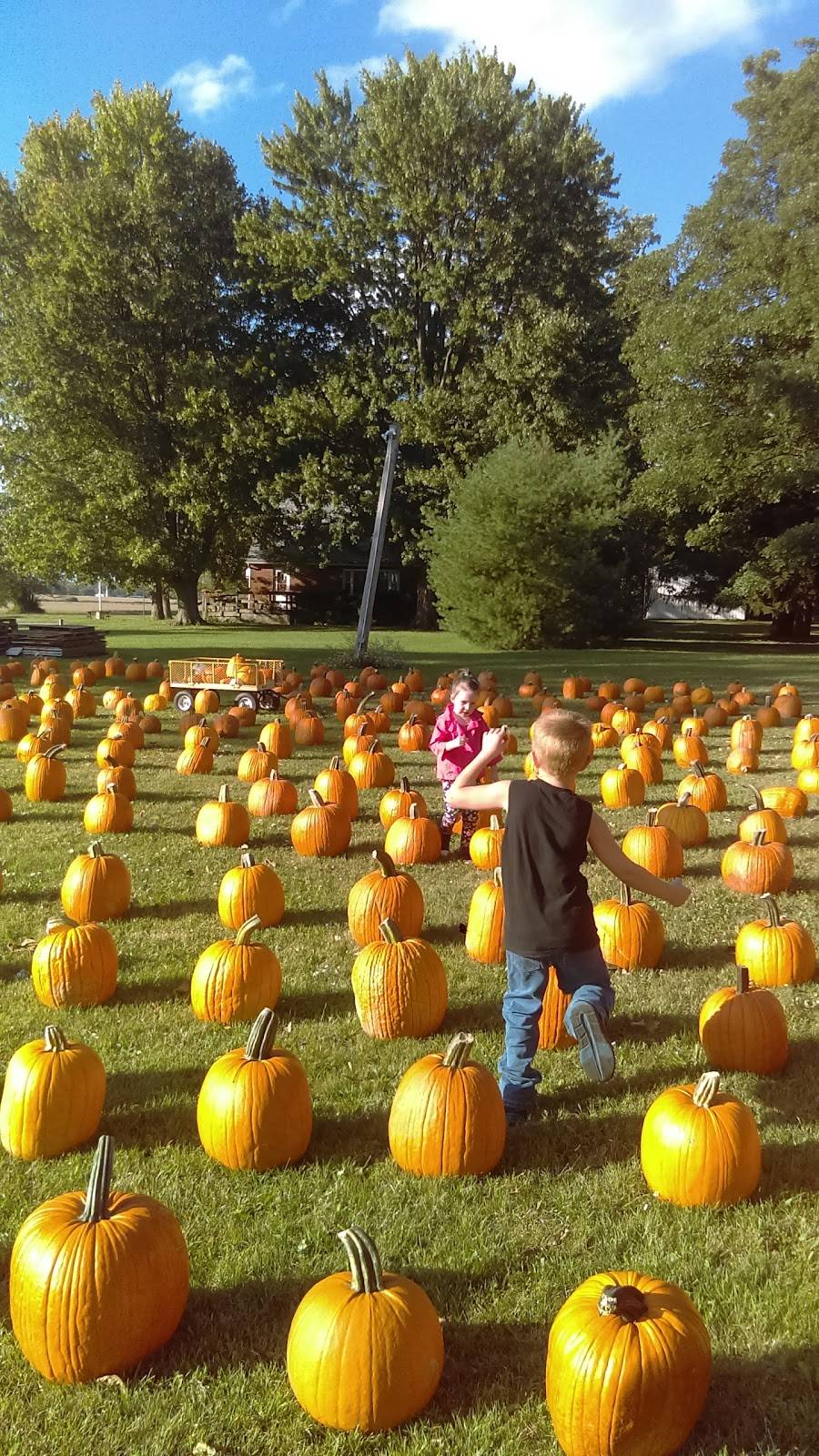 Dennys | restaurant | 1050 Mt Vernon Ave, Marion, OH 43302, USA | 7403892515 OR +1 740-389-2515