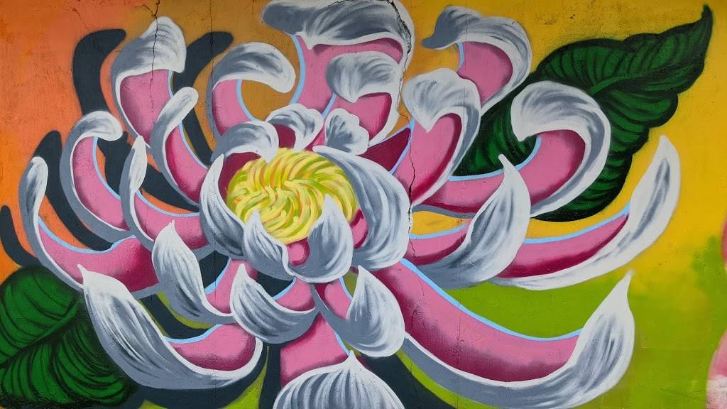 El Tacorrido | restaurant | 1701 E Riverside Dr, Austin, TX 78741, USA | 5128615000 OR +1 512-861-5000