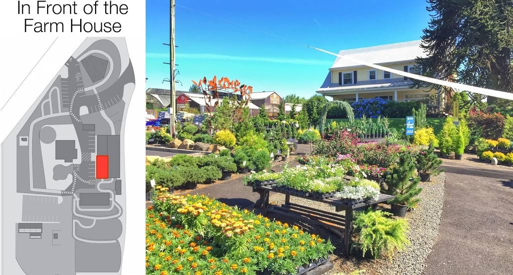 Cornell Farm | restaurant | 8212 SW Barnes Rd, Portland, OR 97225, USA | 5032929895 OR +1 503-292-9895