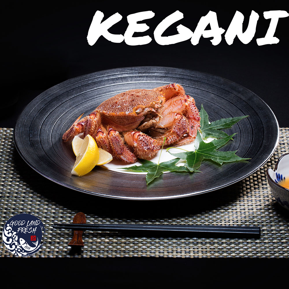 Goodland Global Farm Inc | restaurant | 6820 E Washington Blvd, Commerce, CA 90040, USA | 3238819777 OR +1 323-881-9777