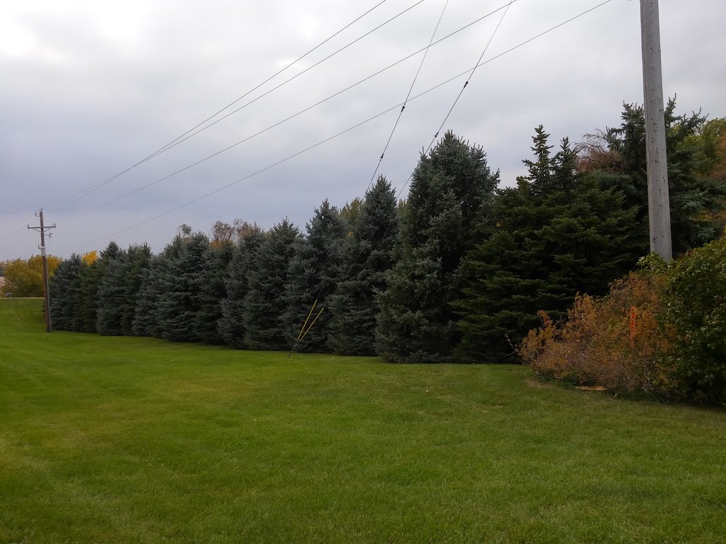 Baltic Corner | restaurant | 25001 475th Ave, Dell Rapids, SD 57022, USA | 6055299410 OR +1 605-529-9410