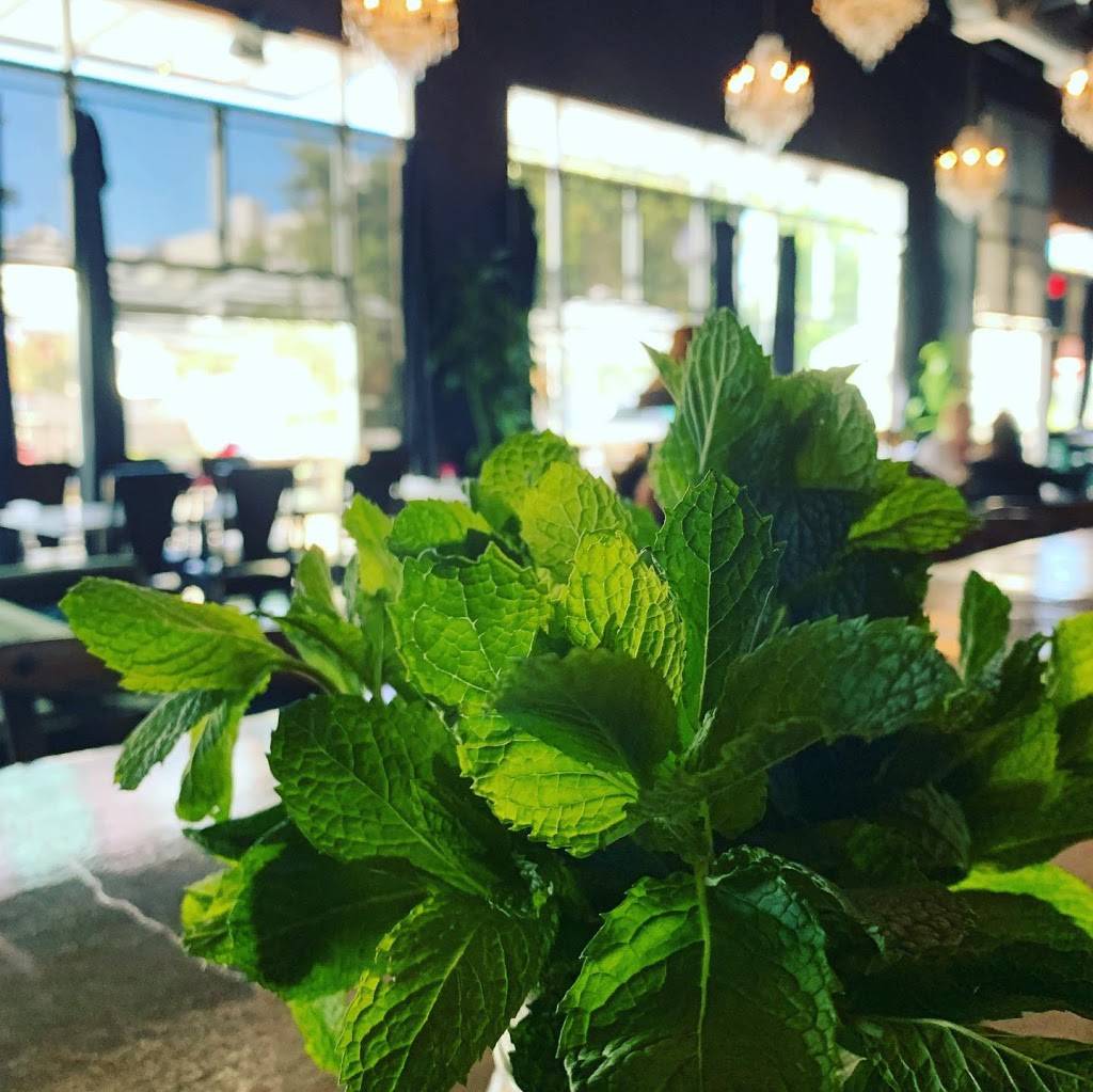 Bubbles N Birds | night club | 117 W Elm St, Lodi, CA 95240, USA | 2092637115 OR +1 209-263-7115