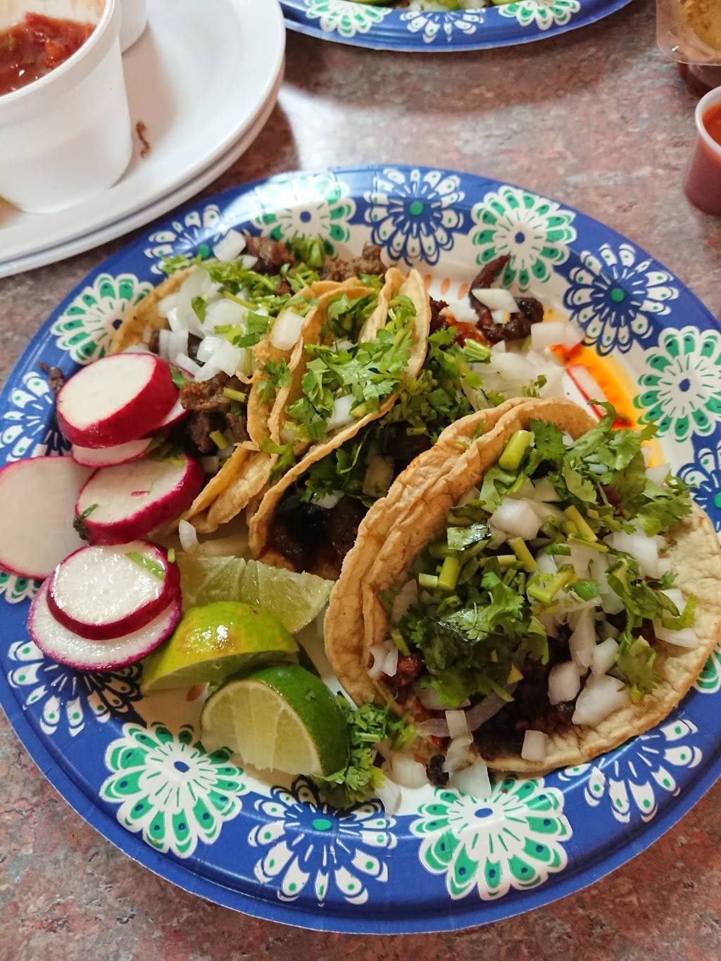 Jarochita | restaurant | 85 N Glebe Rd, Arlington, VA 22207, USA | 7035282789 OR +1 703-528-2789