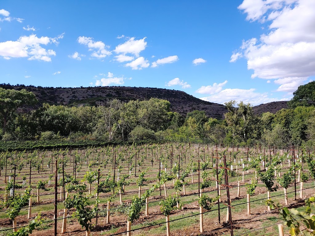 Page Springs Cellars | restaurant | 1500 N Page Springs Rd, Cornville, AZ 86325, USA | 9286393004 OR +1 928-639-3004