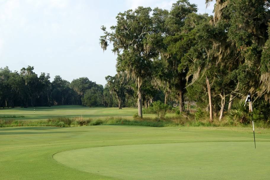 Sapelo Hammock Golf Club | restaurant | 1354 Marshview Dr NE, Shellman Bluff, GA 31331, USA | 9128324653 OR +1 912-832-4653