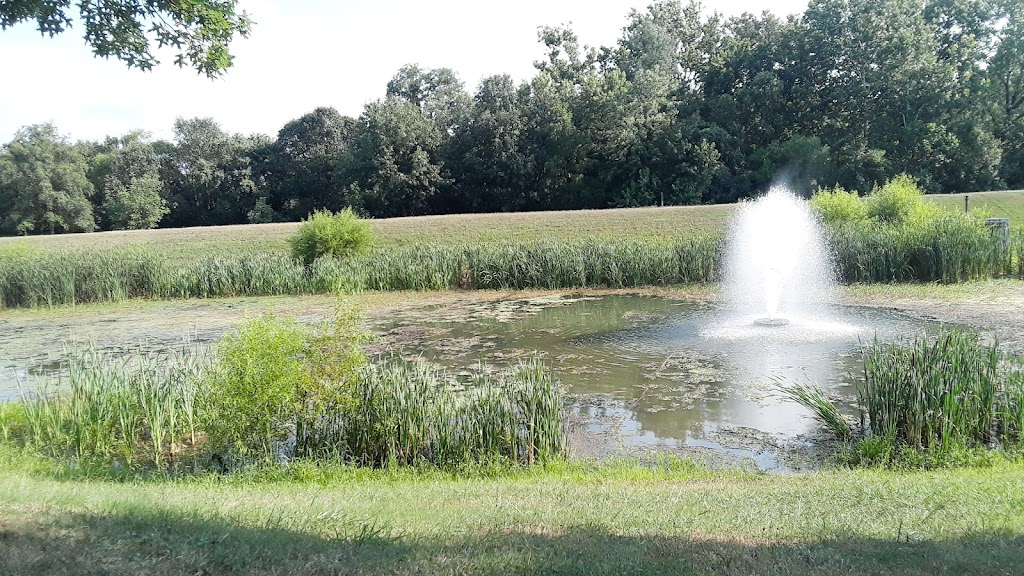 Cherry Hill Star Cafe | restaurant | Cherry Hill Rd, College Park, MD 20740, USA | 3019377116 OR +1 301-937-7116